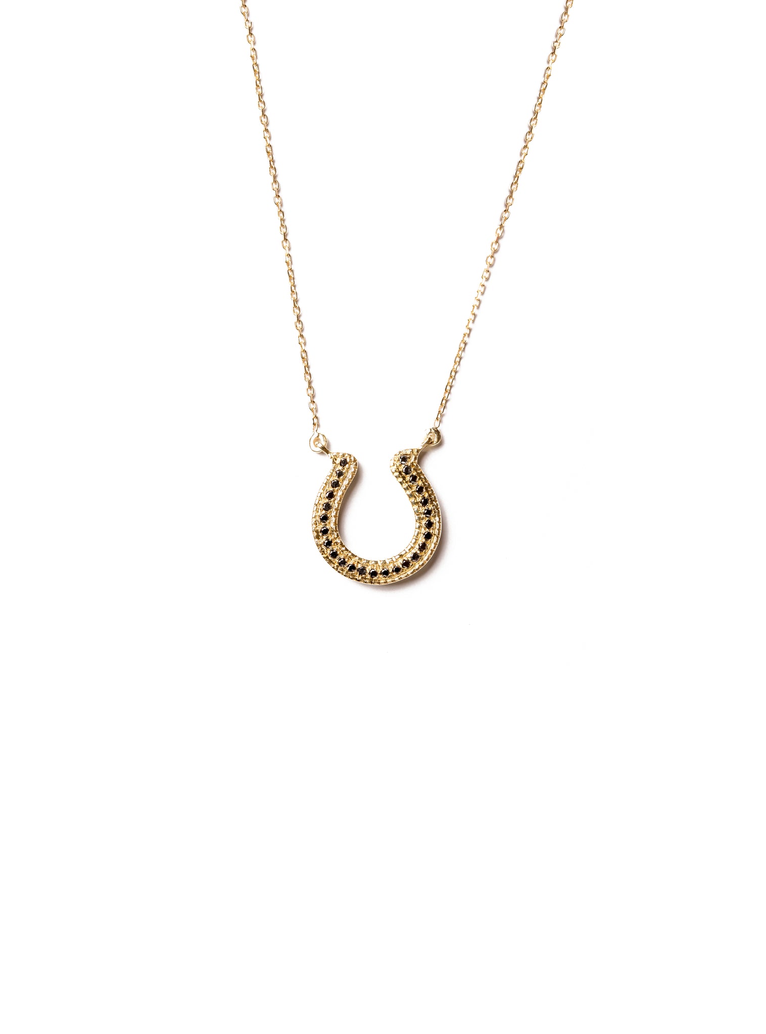 Horseshoe Necklace with Black Diamonds