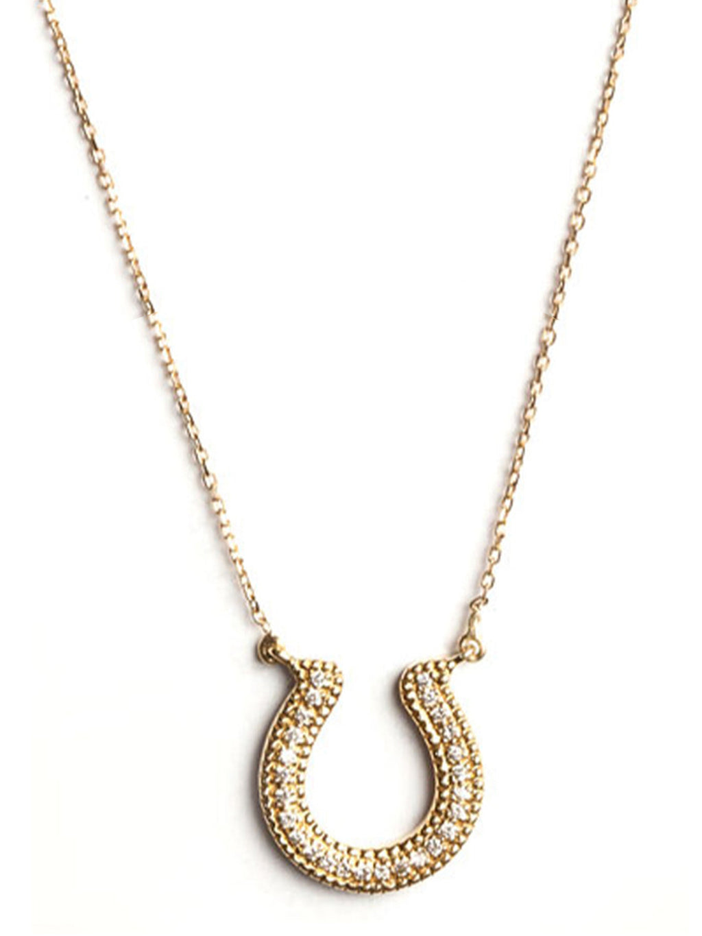 Horseshoe Diamonds Necklace