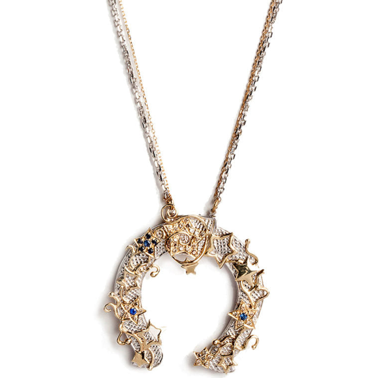 Horseshoe Shoot for the Stars Necklace
